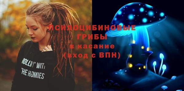 спиды Абаза