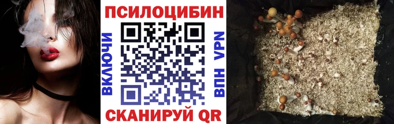 Галлюциногенные грибы мухоморы  darknet формула  Новочебоксарск 